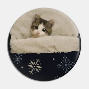 Cat Sleeping in little bed Pin