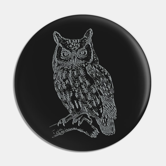 owl Pin by hottehue