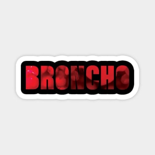 BRONCHO Bad Behavior Magnet