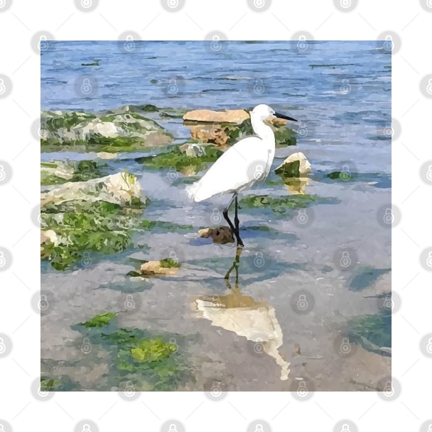 A Heron on the beach 2 by PrintedDreams