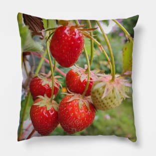 Strawberries Pillow