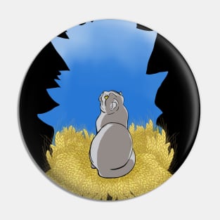 Cat, wheat and blue sky Pin