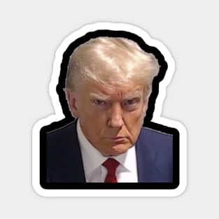 DONALD TRUMP'S MUGSHOT AUGUST 2023 ARREST Magnet