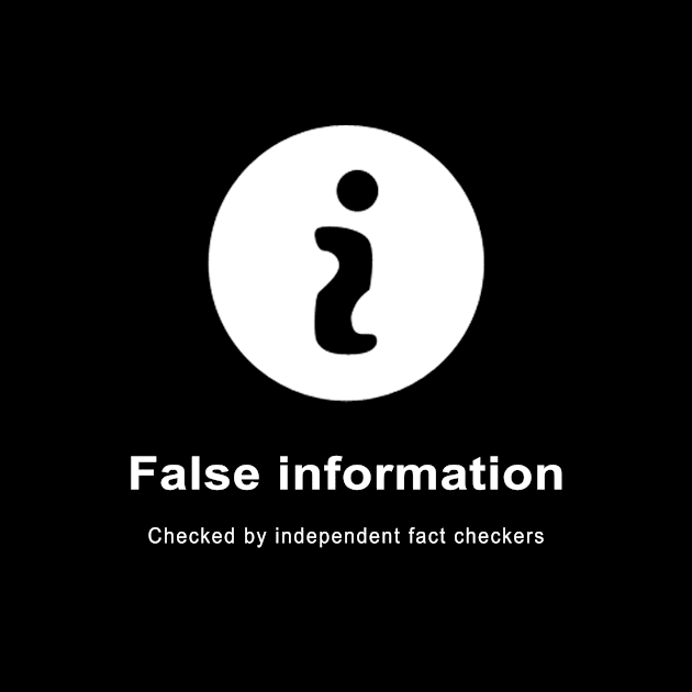 False Information by LongIslandArtists