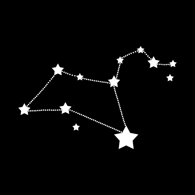 Leo Stars Zodiac Constellation by Korry