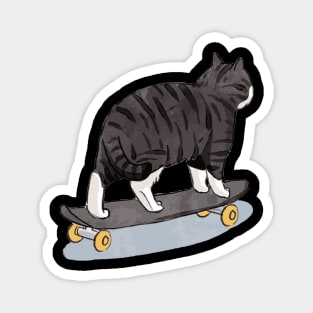 Skater cat Magnet