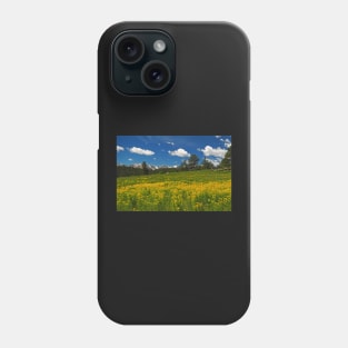 Rocky Mountains NP Phone Case