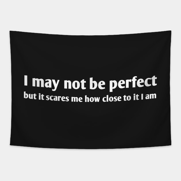 I May Not Be Perfect But It Scares Me How Close To It I Am Tapestry by MoviesAndOthers