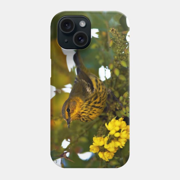 Cape May Warbler with Flowering Mahonia Phone Case by walkswithnature