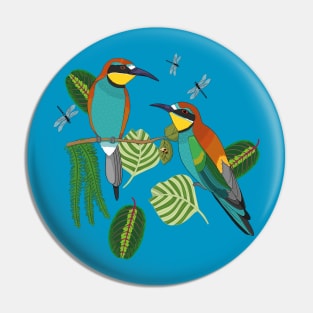 European bee-eater birds Pin