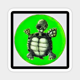 Brawling Turtle Magnet