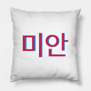 Sorry in Korean Writing Hangul Pillow