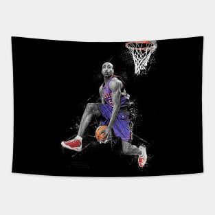 Vince Carter Tapestry