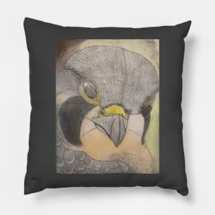 Watchful eyes Pillow