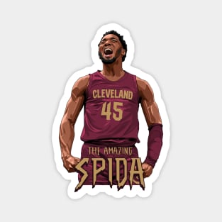 THE AMAZING SPIDA Magnet