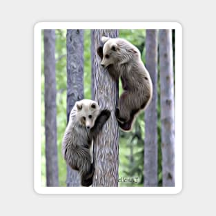 Two Bears Magnet