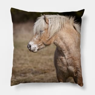 Shaggy Horses Pillow