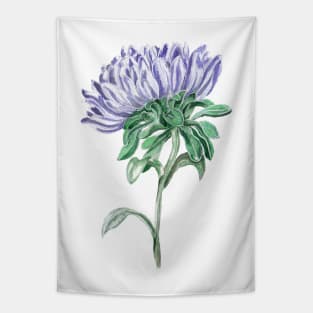 Aster Tapestry