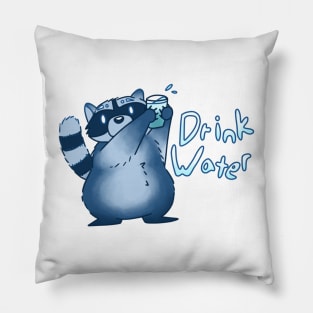 Hydration Racoon Pillow