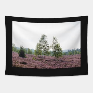 Heathland, morning mist, heather bloom, Niederhaverbeck Tapestry