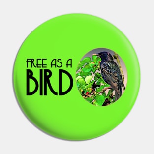 Free as a BIRD Pin