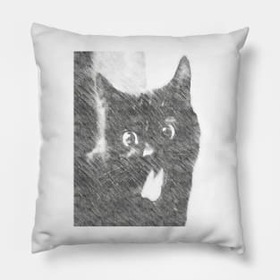 black cat Pillow