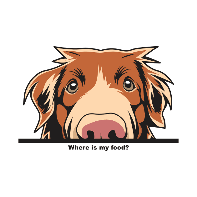 Where Is My Food Funny Toller by welovetollers