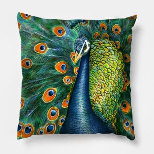 Peacock Pillow