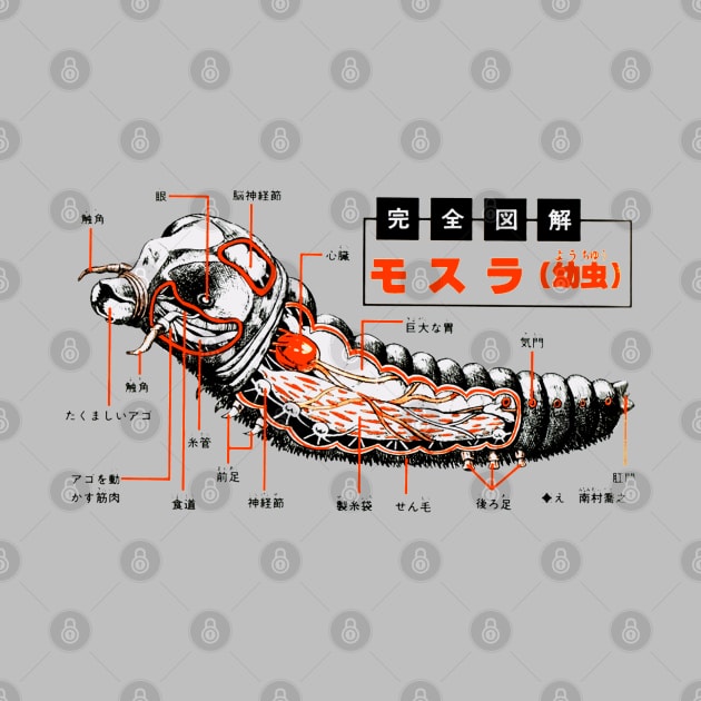 Mothra Anatomy by Pop Fan Shop