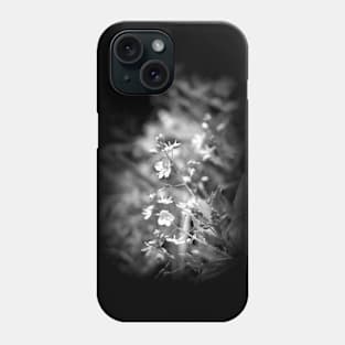 Speedwell wildflowers, black and white Phone Case