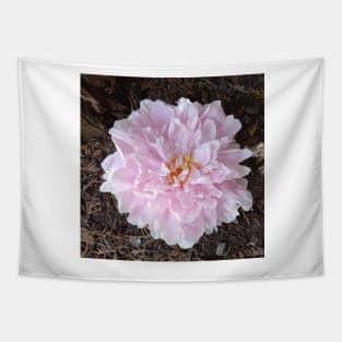 Peony Tapestry