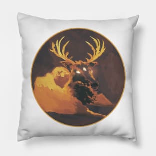 Eye of the Storm Pillow