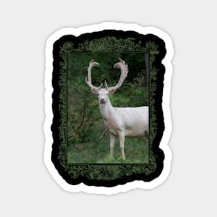 Pure Wildlife Lovers: White Deer Magnet