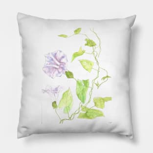 Pale pink Morning Glory Pillow