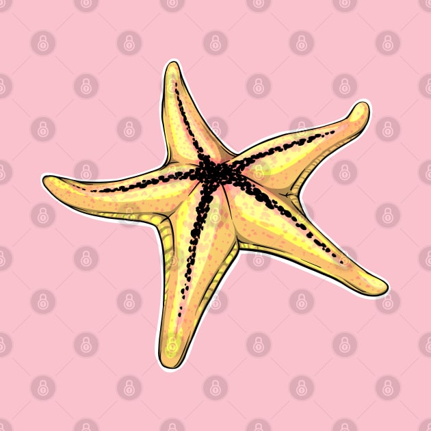 Reva Prisma sea star emoji by Mei.illustration