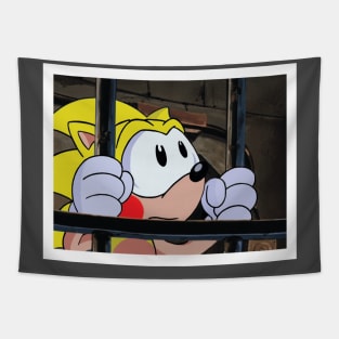 Sonichu: The End Tapestry