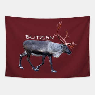 Blitzen Tapestry