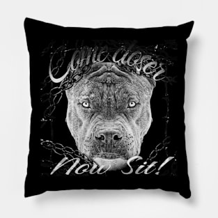 Pittbull Pillow