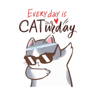 Every day ia Caturday T-Shirt