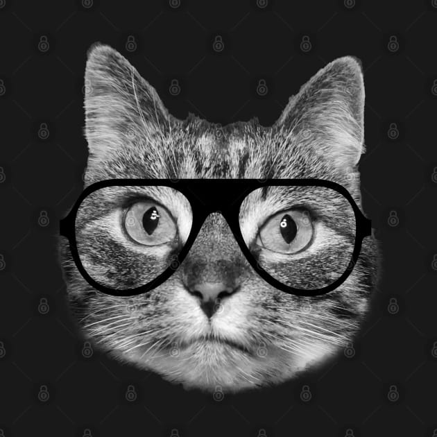 Cat wearing glasses by Purrfect