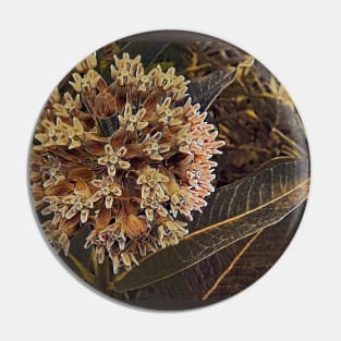 Milkweed Bloom No.1 Pin