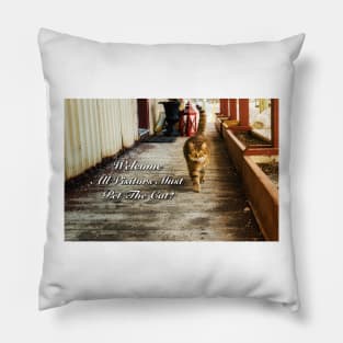 Country Store Cat Welcome 2 Pillow