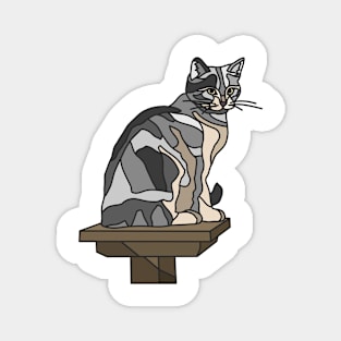 Grey Tabby Cat on Platform Magnet