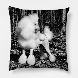 Emperor poodle / Swiss Artwork Photography Pillow