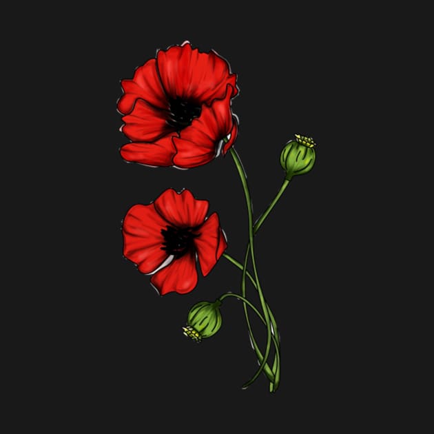 Poppies by Philomena 