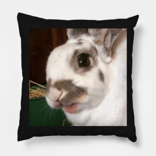 Princess Sweetie Kisses Pillow