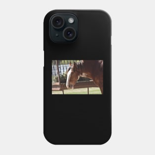 Clydesdale Phone Case