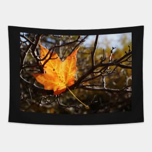 Fallen Maple Leaf Tapestry