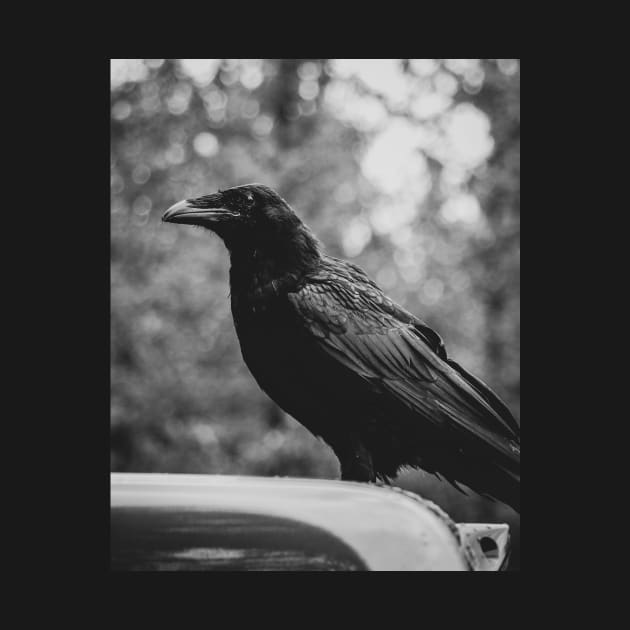 The Raven by jonesing