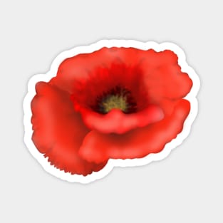 Red Poppy Magnet